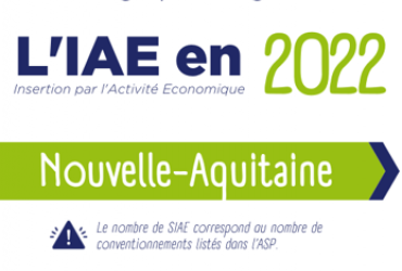 infographie_2022_iae_nouvelle-aquitaine_picto.png