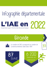 infographie_2022_iae_gironde_picto.png