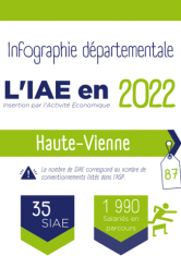 infographie_2022_iae_haute-vienne_picto.png
