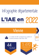 infographie_2022_iae_vienne_picto.png